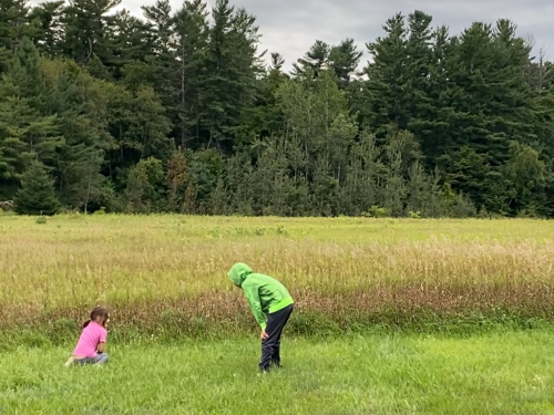 Two children in forest clearing