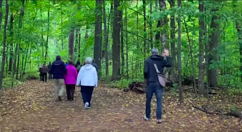 People walking a woodland path