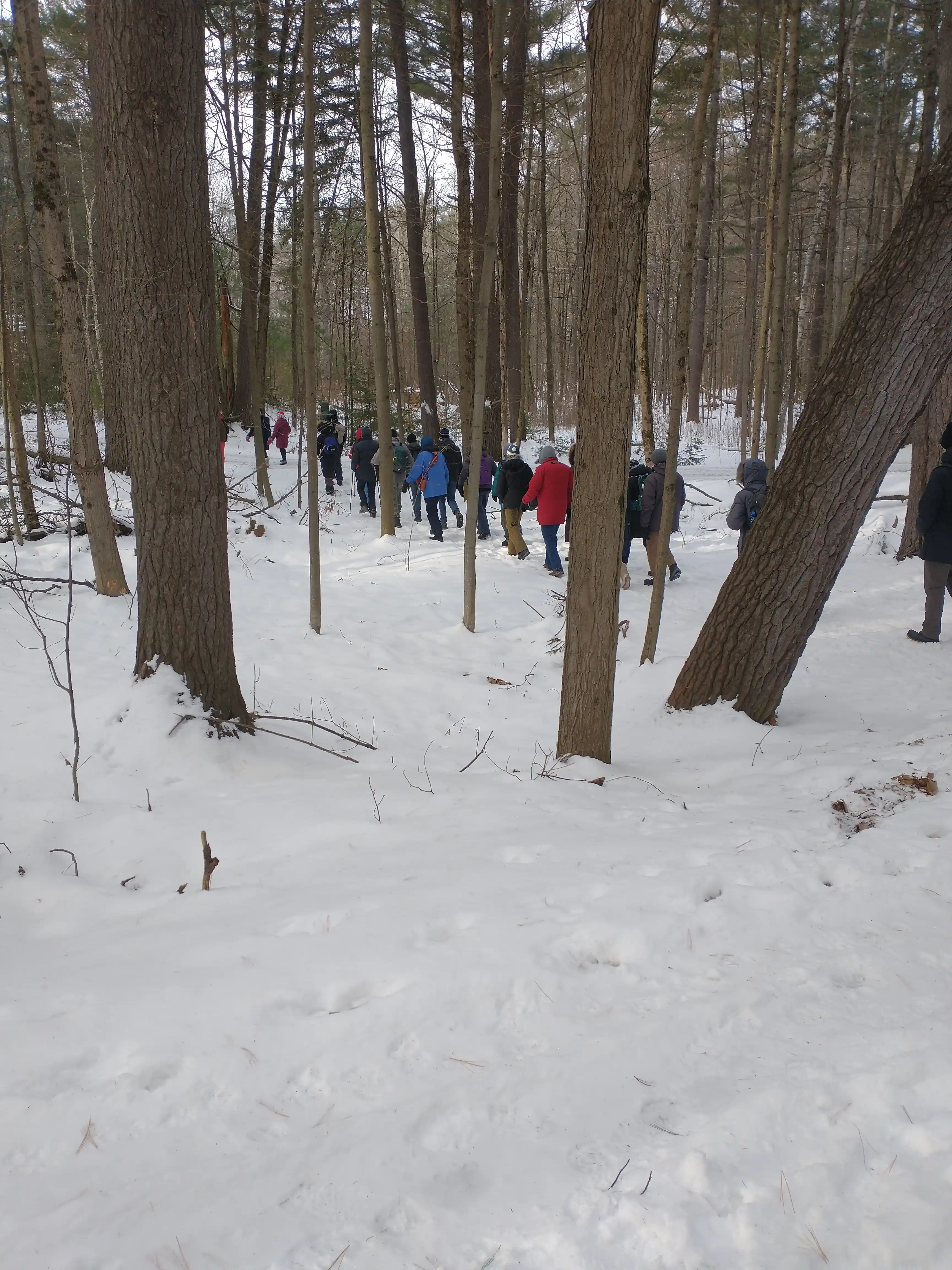 Concerned local citizens join in a beautiful wintery woodland setting.