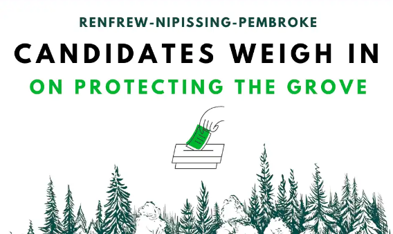 Ballot box and text: RENFREW-NIPISSING-PEMBROKE Candidates weigh in on protecting Gillies Grove