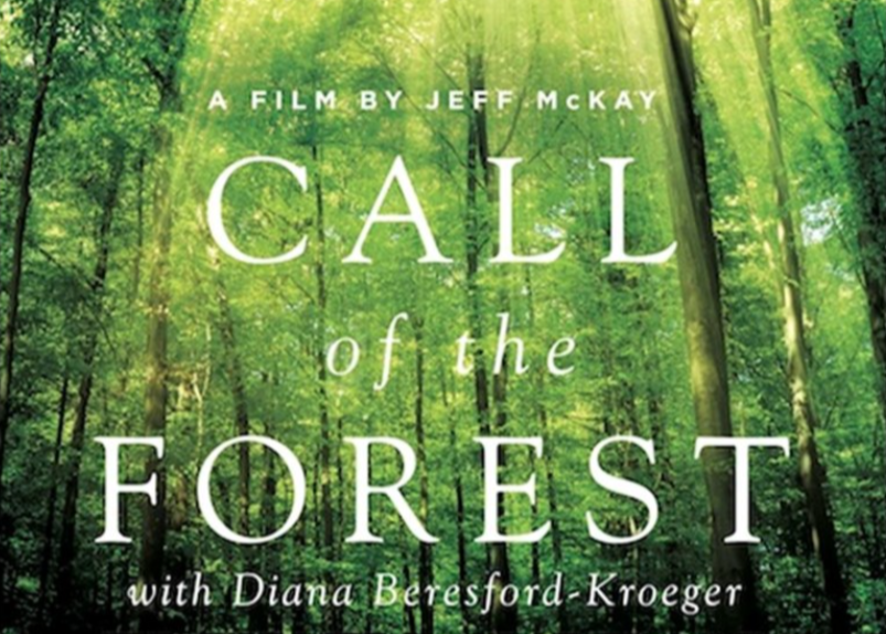 Forest with text: Call of the Forest, A film by Jeff McKay, and other details