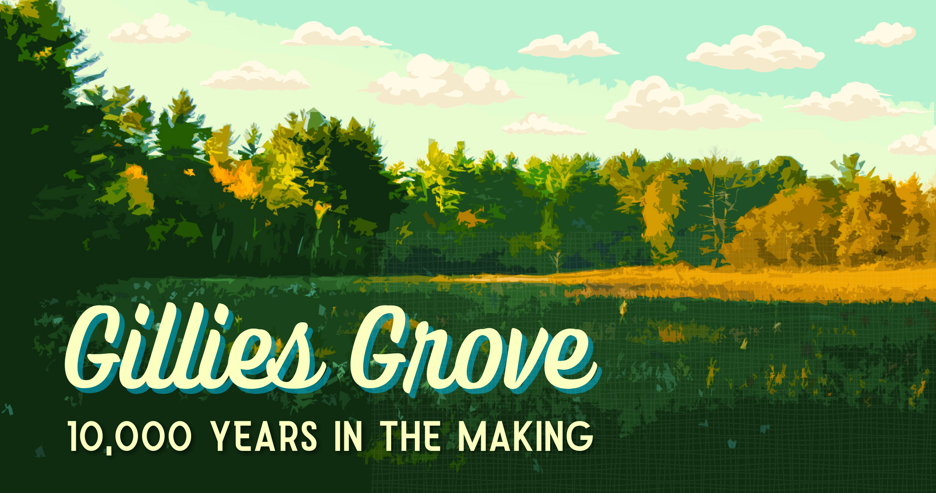 Postcard - Gillies Grove 10,000 years in the making